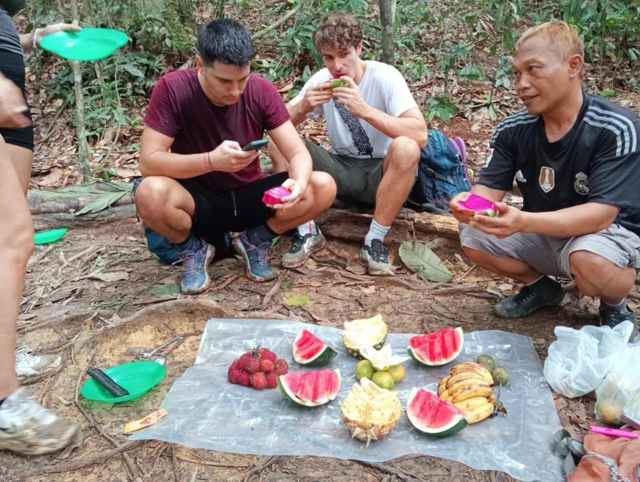 Landak River Guest House Only Trekking With Us Bukit Lawang Eksteriør bilde