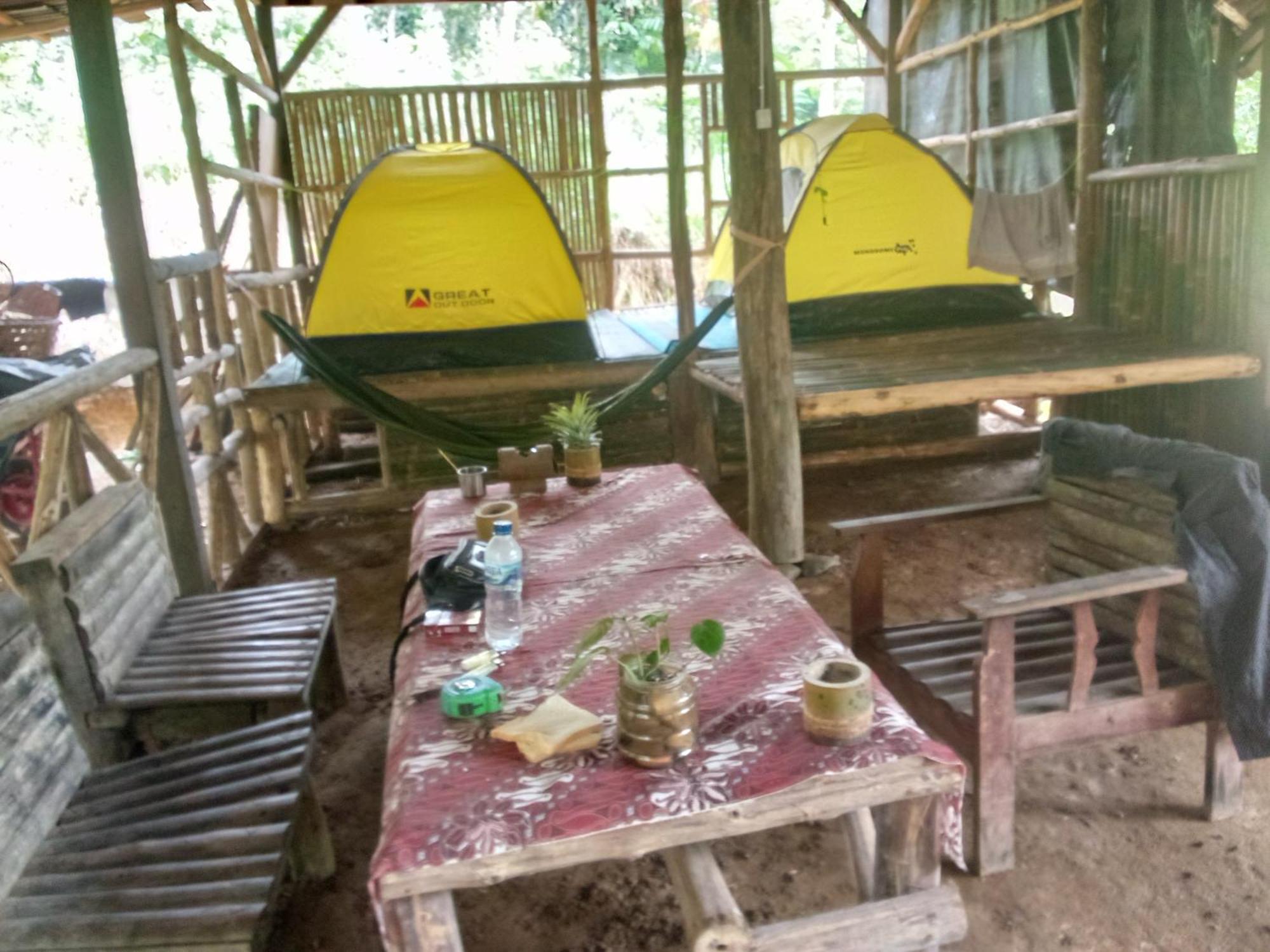 Landak River Guest House Only Trekking With Us Bukit Lawang Eksteriør bilde