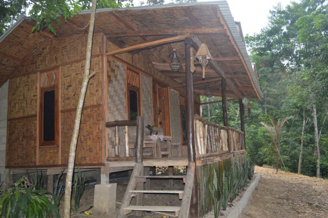 Landak River Guest House Only Trekking With Us Bukit Lawang Eksteriør bilde