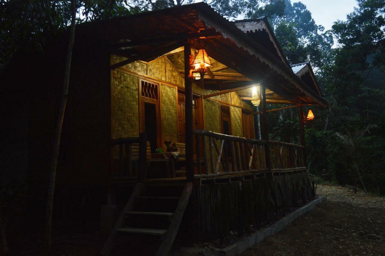 Landak River Guest House Only Trekking With Us Bukit Lawang Eksteriør bilde
