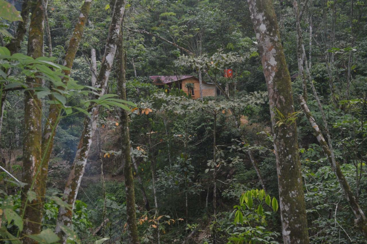 Landak River Guest House Only Trekking With Us Bukit Lawang Eksteriør bilde