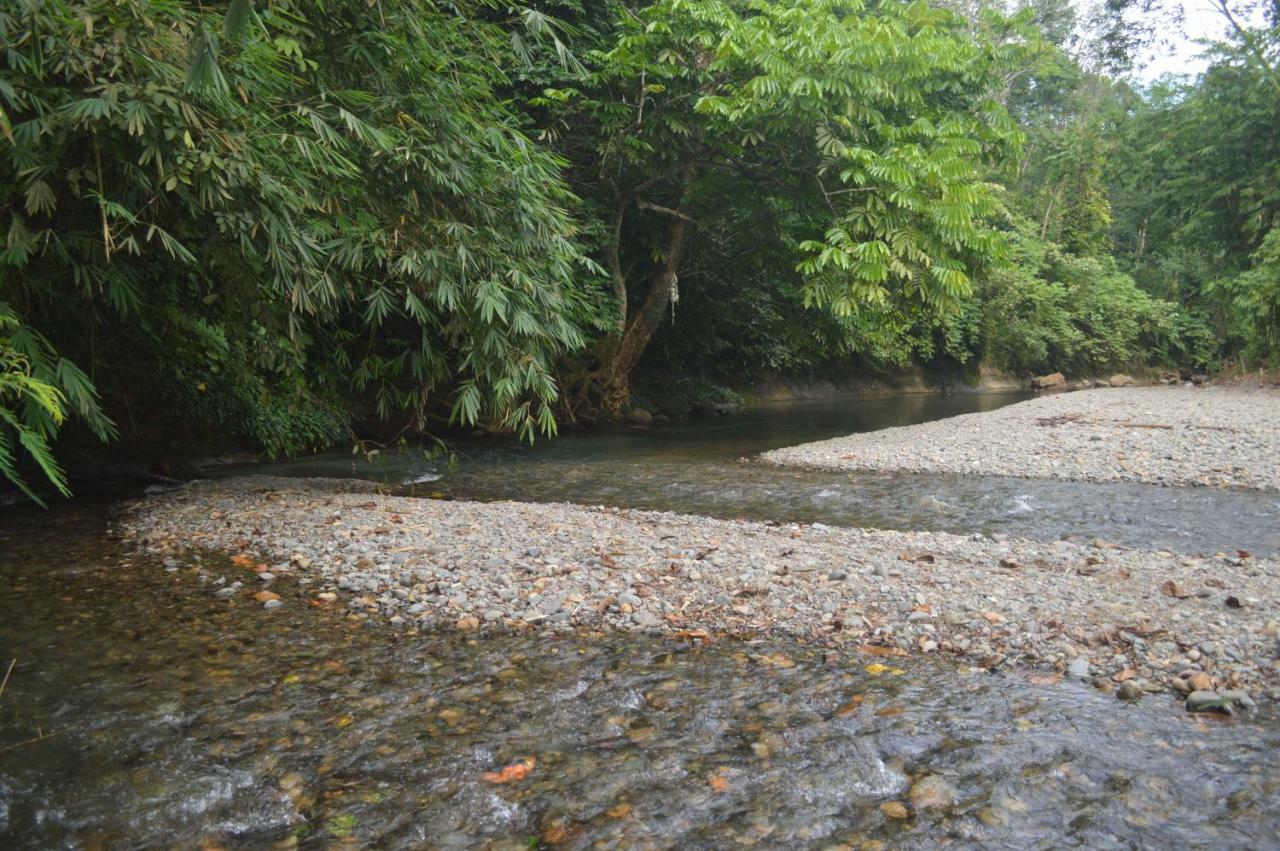 Landak River Guest House Only Trekking With Us Bukit Lawang Eksteriør bilde