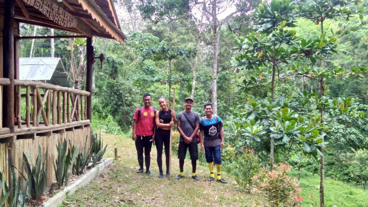 Landak River Guest House Only Trekking With Us Bukit Lawang Eksteriør bilde