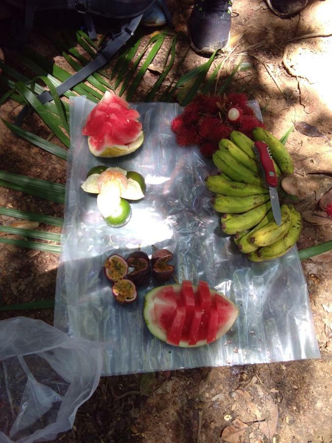 Landak River Guest House Only Trekking With Us Bukit Lawang Eksteriør bilde