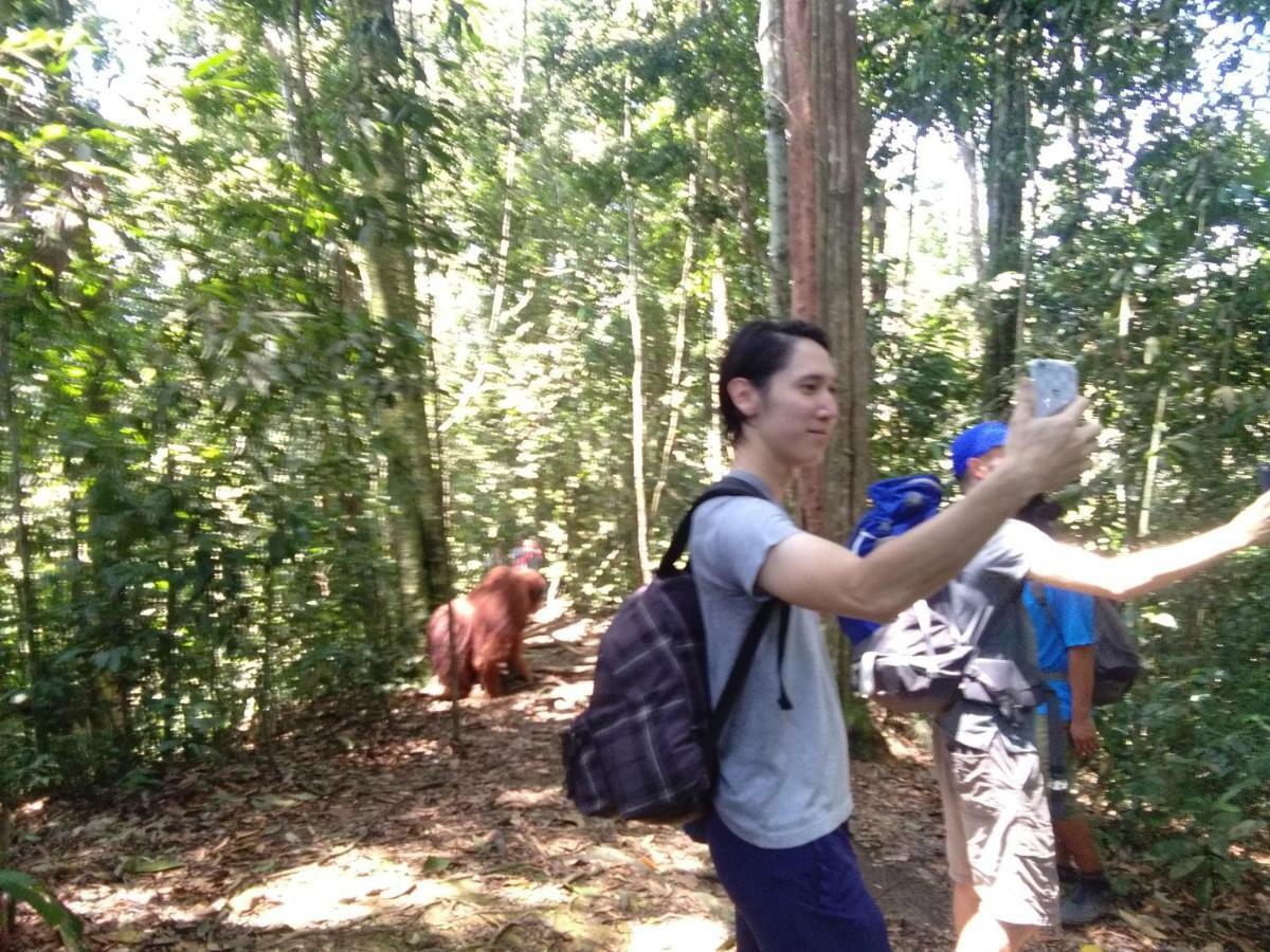 Landak River Guest House Only Trekking With Us Bukit Lawang Eksteriør bilde